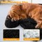 Plush Calming Dog Couch Bed with Removable and Washable Zipper Cover